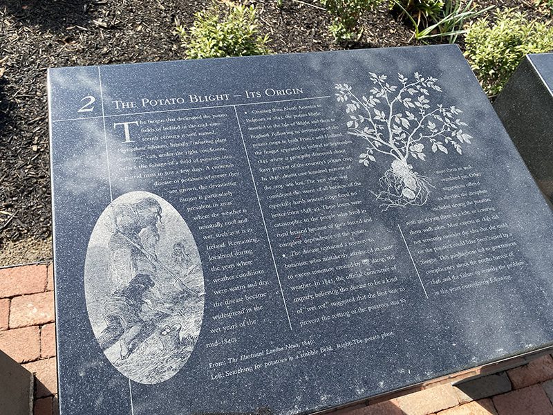 The origin of the potato blight at the Irish Memorial in Philadelphia